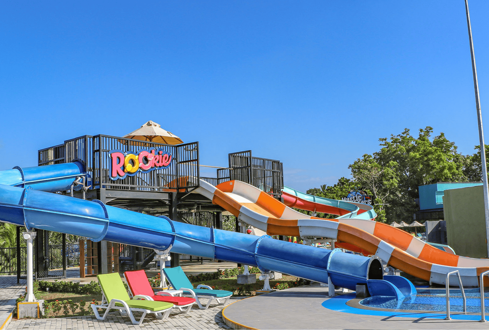 Untitled design (86)